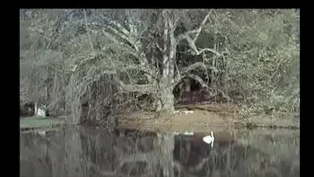 Je suis prendre -  1978 (Full Movie)