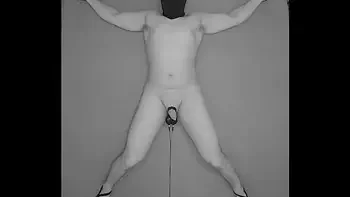 1 HOUR Testicles Electrostimulation Procedure