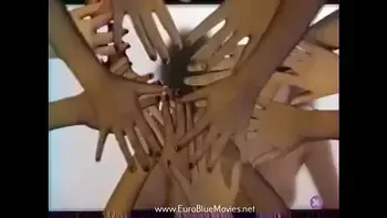 A Century of Pleasure History of Hardcore Cinema