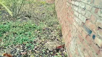 She is the only girl in a post-apocalyptic future, and everyone is hunting for her to fuck hard.