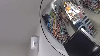 Gerente e ajudante de mercadinho pega a loira e morena sem dinheiro para pagar compra e mete a pica sem camisinha na buceta dessas putinhas como pagamento