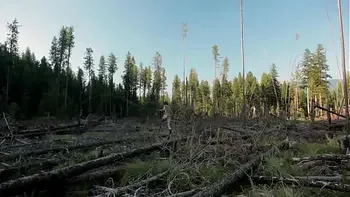 girl big tits in forest masturbate to help fix