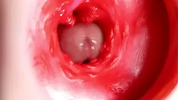 This beautiful pussy is pulsating and squeezing my cock! Camera inside the hole!