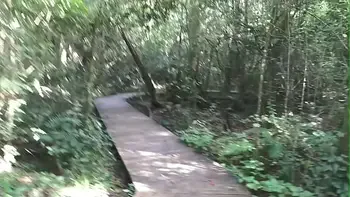 We have sex in the Garden of Eden and nearly got caught