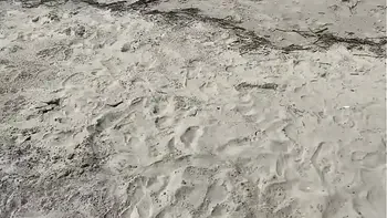 Ejaculation in front of everyone. She refused to stop until I cum.