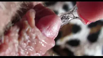 Big clit orgasm closeup 1080