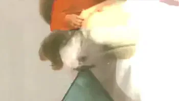 vintage silent films