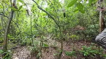 Amateur Thai villagers have sex in the forest public 4K 18