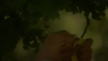 Cassie Courtland Gets Fucked Out On The Farm