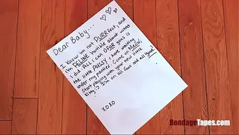 Human pets are so much better - Stephanie West