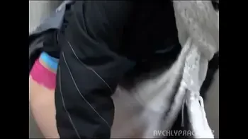 Quick money 23 Zlata toilet