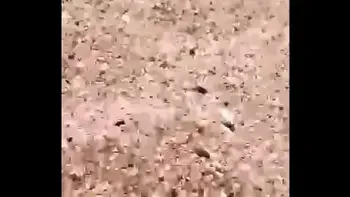 Par de viejas en playa exhibicionista