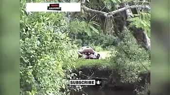 Casal da zona rural é flagrado fazendo sexo no mato