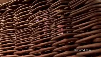 Ihász Petra Viktória