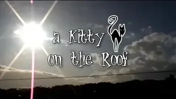 kitty roof