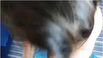 Girl With Big Natural Tits Sucks Cock Blowjob