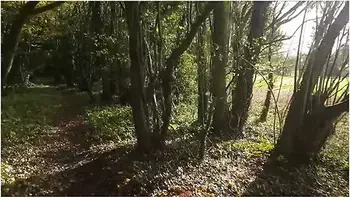 Public Doggystyle & Cum Gargle On Woodland Path