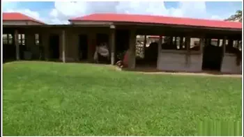 slaves and their master's wifes