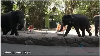 Jamie Marleigh in Jamie Gets To Meet Giraffes Face To Face To Feed Them - ATKGirlfriends