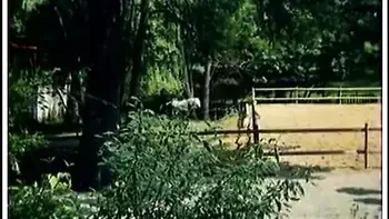 Do You Believe In Orgasm?