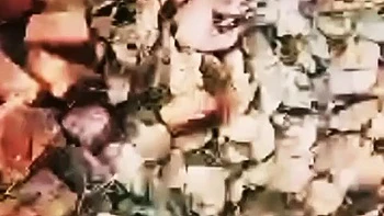 Desi Girlfriend Showing Hot Young Pussy