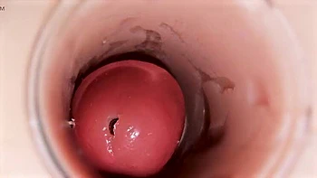 Ladytwitti Deep Pussy Creampie - Internal Camera Captures Huge Sperm Ejaculation