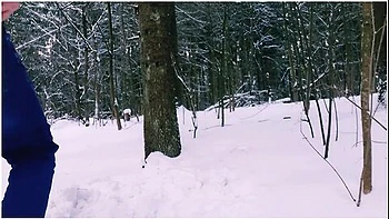 Jeny Smith, Red Fox And Naughty Lada - The Winter Forest