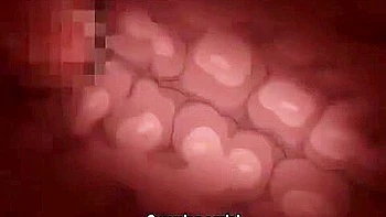 The big-breasted Step mother-in-law hypnotizes her Step daughters and thrusts them into her one after another and cums inside her.