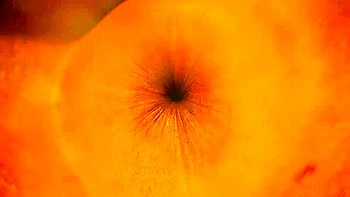 Crazy Porn Movie Hd Try To Watch For , Take A Look