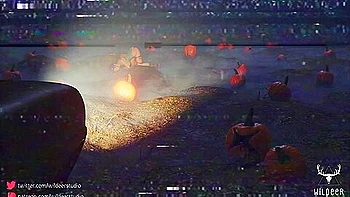 Pumpkin Field Vhs Ver