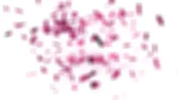 GIRLSRIMMING - Amazing rimming with hot busty MILF Sara Jay & Danny Mountain