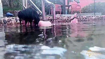 Astonishing Adult Video Bondage Newest Like In Your Dreams