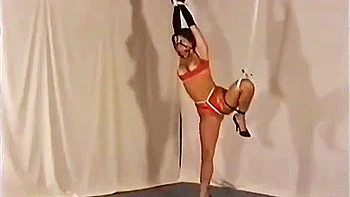 The Lingerie Model [dv-20]