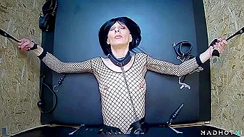 Exciting And Gorgeous - Shell Take Care Of Everything