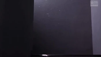 PNB108-YSTJFMBERT214185964