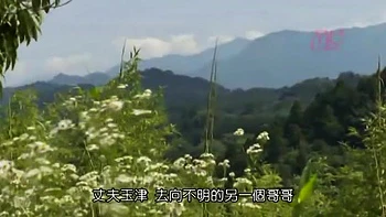 HBN546-TIGLWEAJHN218347749