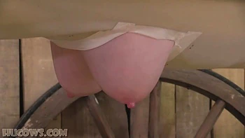 They Set Up A Corner In The Barn With Bdsm Sex Toys To Fuck