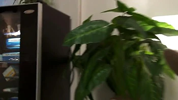 Very Naughty Nurses Paige Ashley And Sunny Lane Both Hot Blondes With Big Boobs Wearing