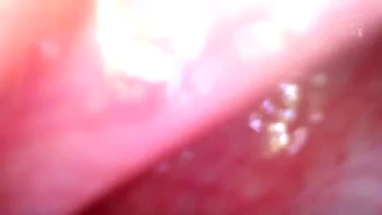 x2x137B0A57D21B17F759