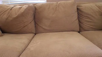 Misty Dawn is a Tattooed Honey Clip#1