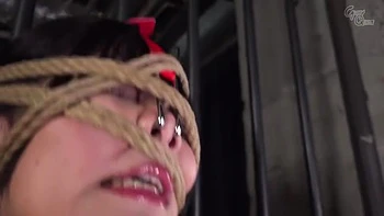 x1xB2225586D0A995BED4