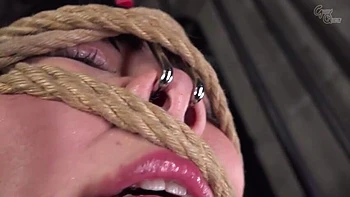 x1xB2225586D0A995BED4