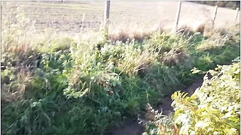 Park Over There, Risky Fuck Me Outside & Finish In My Mouth X