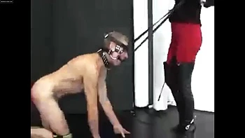 Blonde pony riding: Onlyfans, Fetish  Goddess Porn