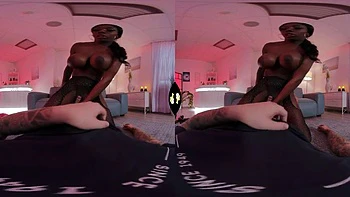 3938383: Blowjob, Doggy  Cowgirl VR Porn