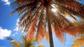 Pet of the Month September 2020