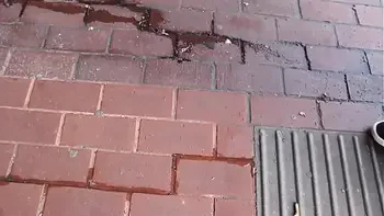 Beautiful and very slutty slut shows her ass in public while pissing between her legs