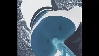 X-Ray-ishDoggyStyle POV -OMG so HOT!!!