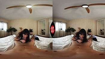 The Morning After Our Business Meeting