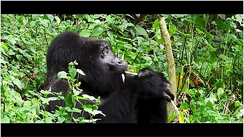 Sunny Sex In Africa - Lunas Journey (episode 28) With Luna Okko